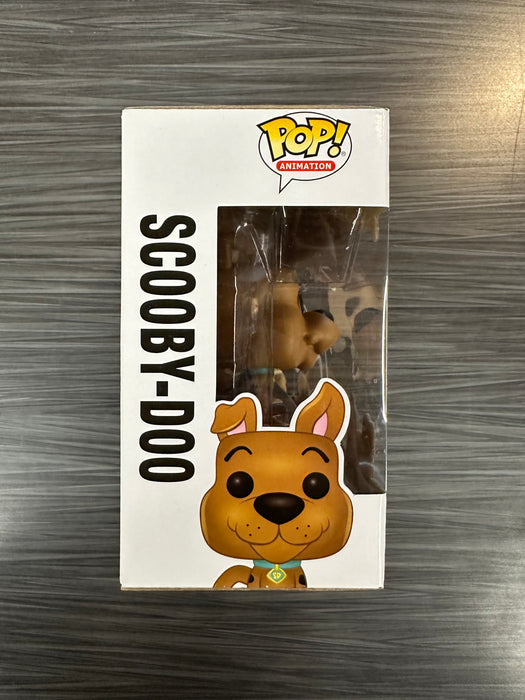 Funko POP! Animation: Scooby-Doo - Scooby-Doo With Shaggy (F.Y.E)(Damaged Box)[2Pack](Signed/Matthew Lillard/JSA)